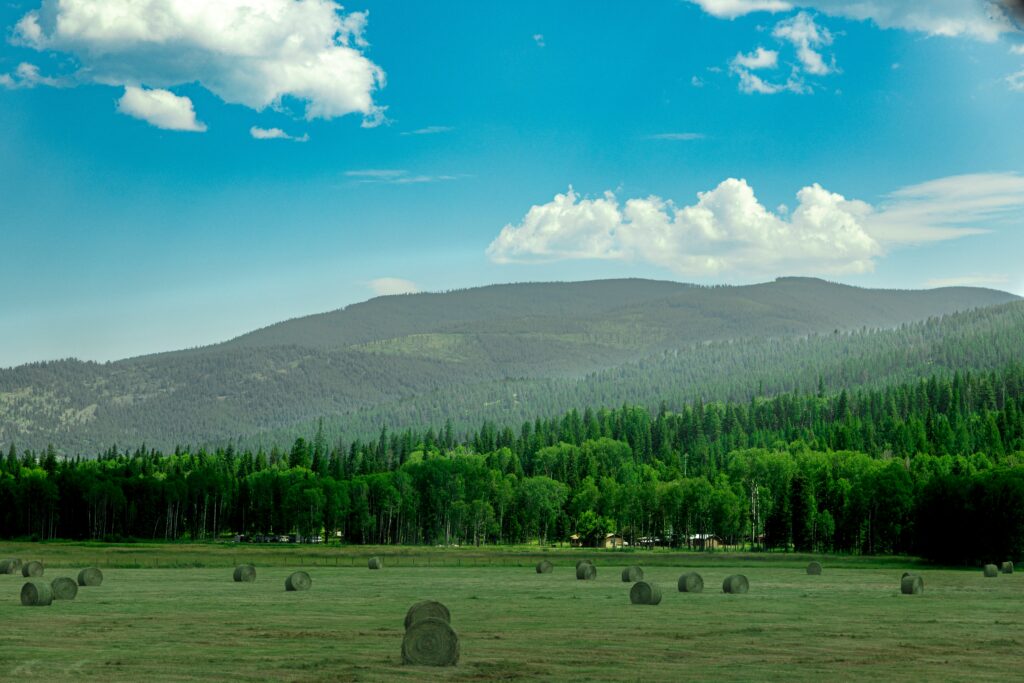 IT Support Kalispell MT field of hay with mountains in the background – Reliable managed IT services, cybersecurity, and business technology support for Kalispell companies from a trusted regional IT partner.